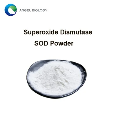 How Does Superoxide Dismutase Powder Work in the Body?